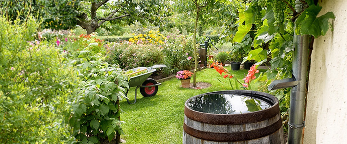 Efficacité et conservation de l'eau