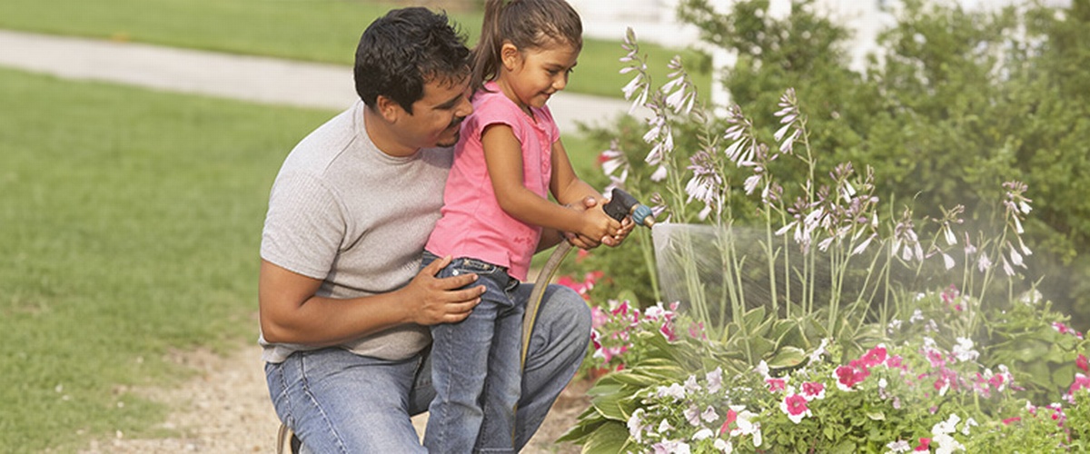 Information à l'intention des propriétaires fonciers