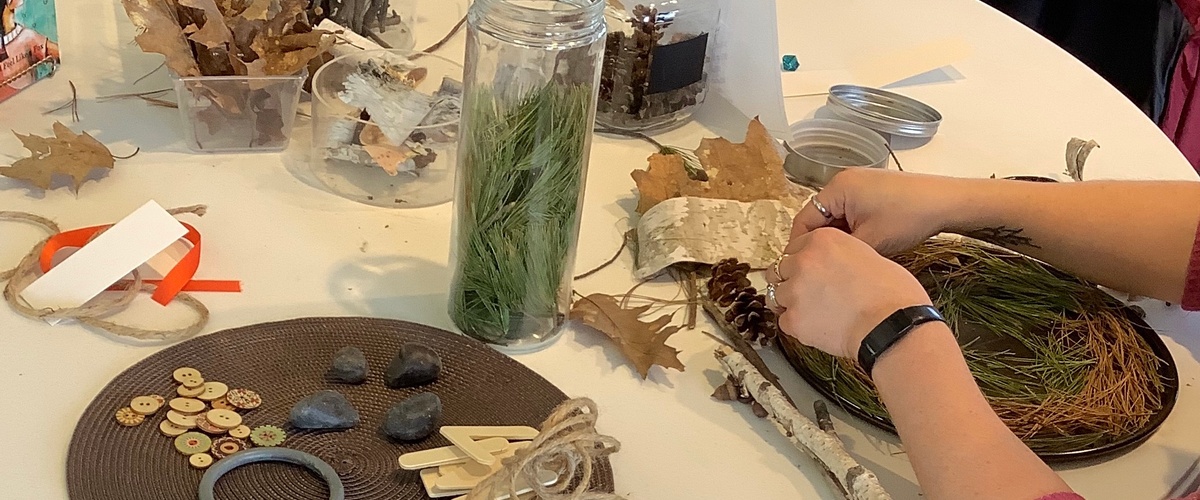 Profils des organismes participants