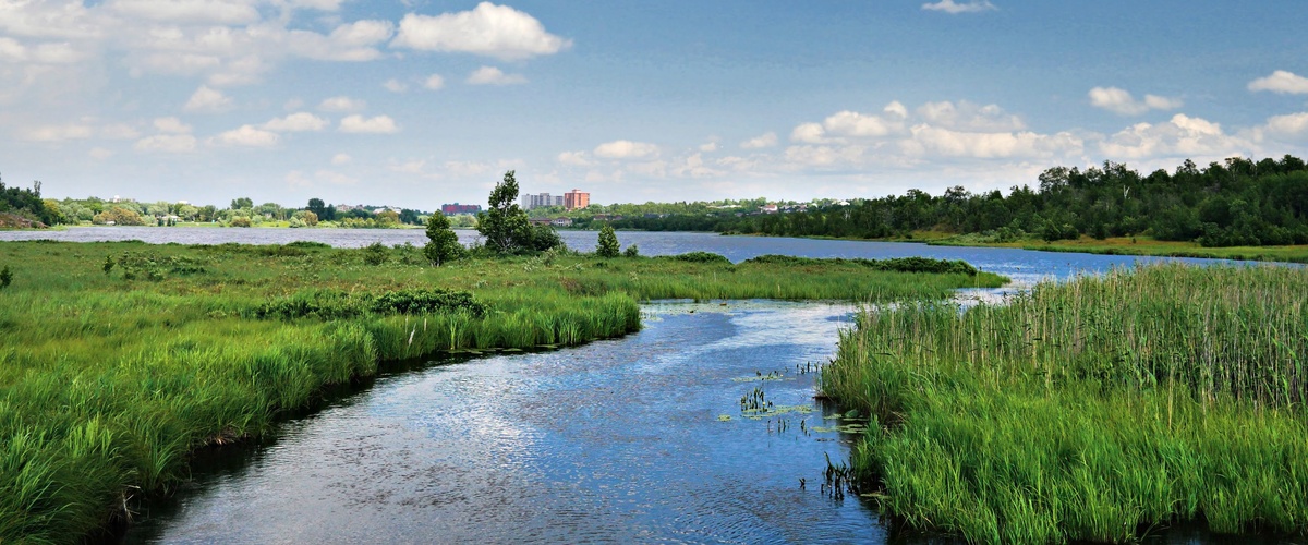 Zone tampon riveraine