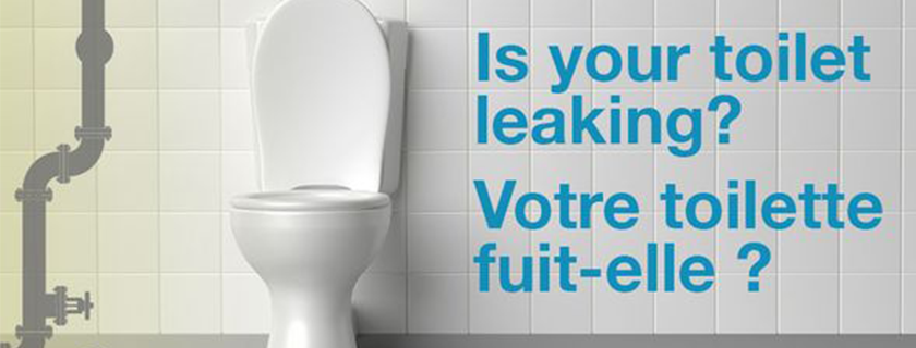 Un toilette à côté du slogan : 