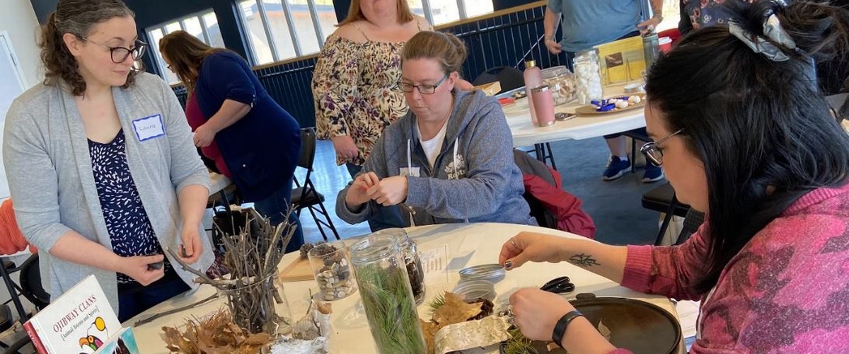 Professional Learning Supports