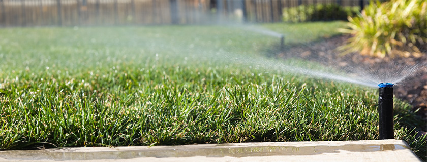 Système d'irrigation automatique.