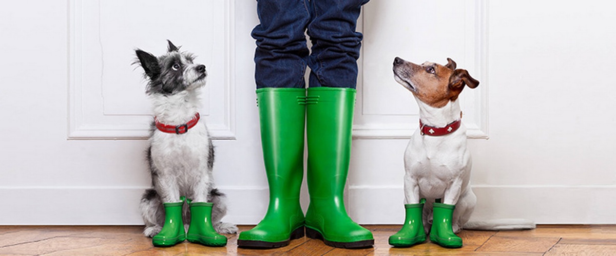 Inondation de sous-sol et subvention pour plomberie pr&eacute;ventive