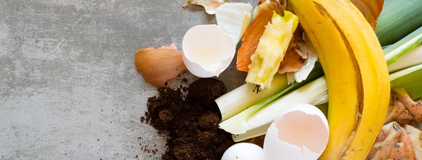 Des restes de fruits et légumes à composter.